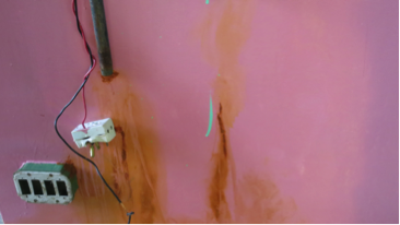 Memory of a Pink(Detail)